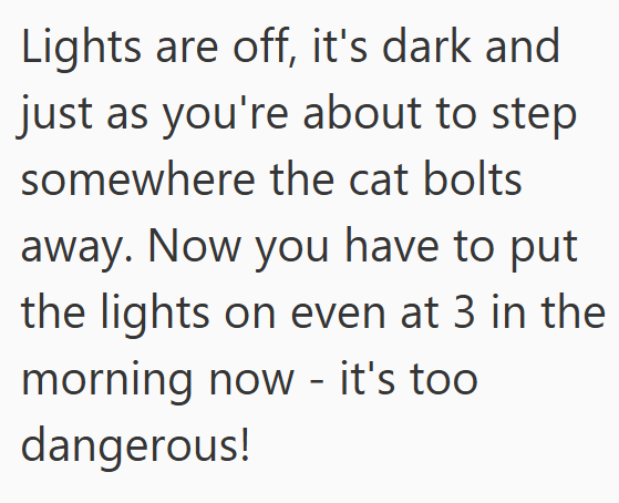 Lights are off, it's dark and just as you're about to step somewhere the cat bolts away. Now you have to put the lights on even at 3 in the morning now - it's too dangerous!