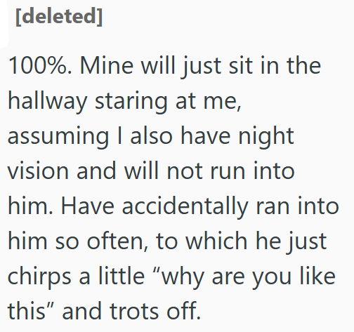 [deleted] 100%. Mine will just sit in the hallway staring at me, assuming I also have night vision and will not run into him. Have accidentally ran into him so often, to which he just chirps a little "why are you like this" and trots off.