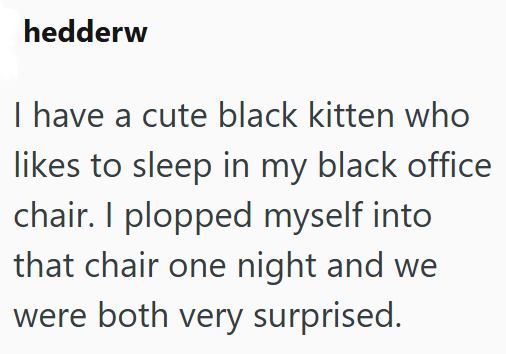 hedderw I have a cute black kitten who likes to sleep in my black office chair. I plopped myself into that chair one night and we were both very surprised.