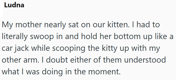 Ludna My mother nearly sat on our kitten. I had to literally swoop in and hold her bottom up like a car jack while scooping the kitty up with my other arm. I doubt either of them understood what I was doing in the moment.