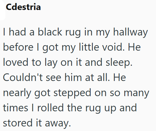 Cdestria I had a black rug in my hallway before I got my little void. He loved to lay on it and sleep. Couldn't see him at all. He nearly got stepped on so many times I rolled the rug up and stored it away.