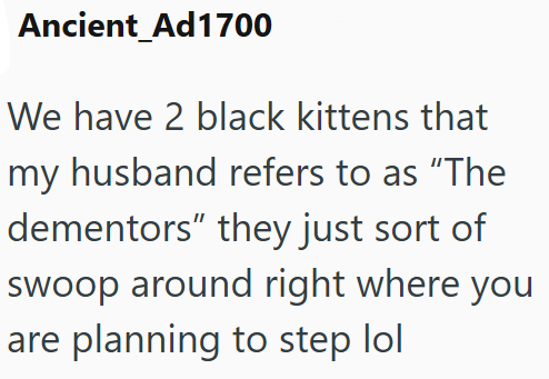 Ancient Ad1700 We have 2 black kittens that my husband refers to as "The dementors" they just sort of swoop around right where you are planning to step lol