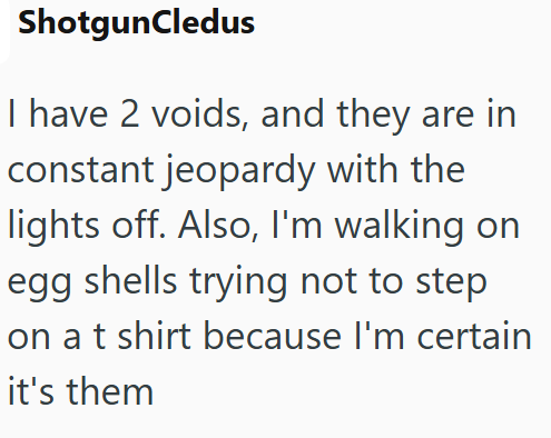 ShotgunCledus I have 2 voids, and they are in constant jeopardy with the lights off. Also, I'm walking on egg shells trying not to step on a t shirt because I'm certain it's them
