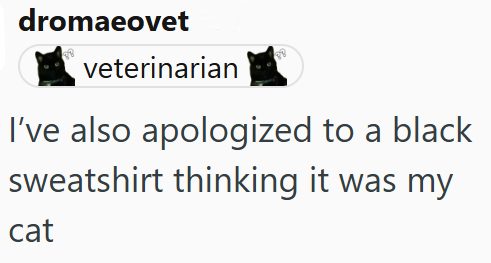 dromaeovet veterinarian I've also apologized to a black sweatshirt thinking it was my cat