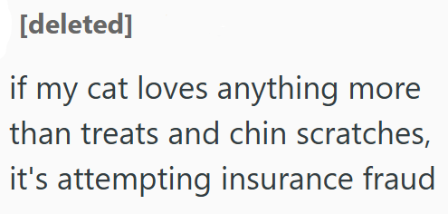 [deleted] if my cat loves anything more than treats and chin scratches, it's attempting insurance fraud