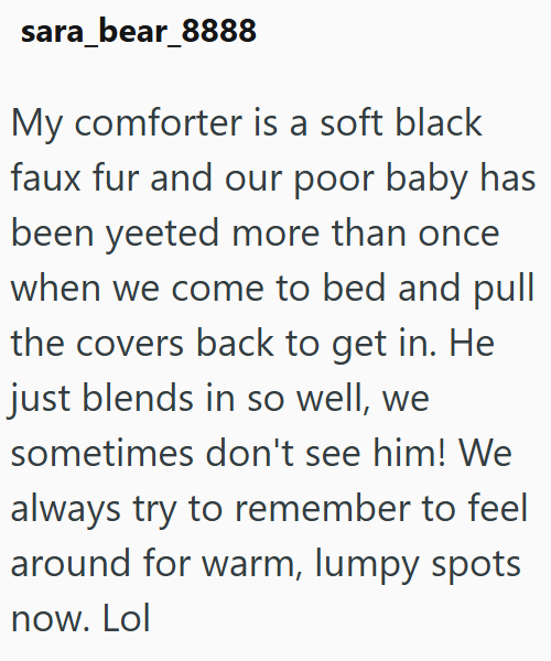 sara_bear_8888 My comforter is a soft black faux fur and our poor baby has been yeeted more than once when we come to bed and pull the covers back to get in. He just blends in so well, we sometimes don't see him! We always try to remember to feel around for warm, lumpy spots now. Lol