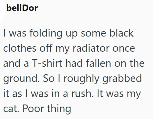 bellDor I was folding up some black clothes off my radiator once and a T-shirt had fallen on the ground. So I roughly grabbed it as I was in a rush. It was my cat. Poor thing