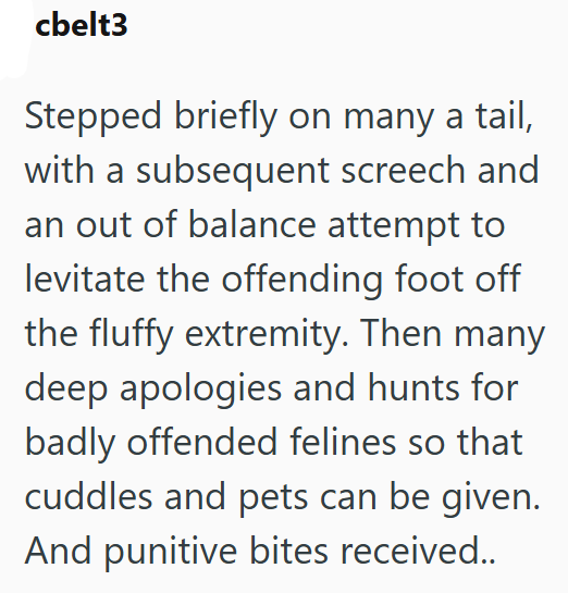 cbelt3 Stepped briefly on many a tail, with a subsequent screech and an out of balance attempt to levitate the offending foot off the fluffy extremity. Then many deep apologies and hunts for badly offended felines so that cuddles and pets can be given. And punitive bites received..