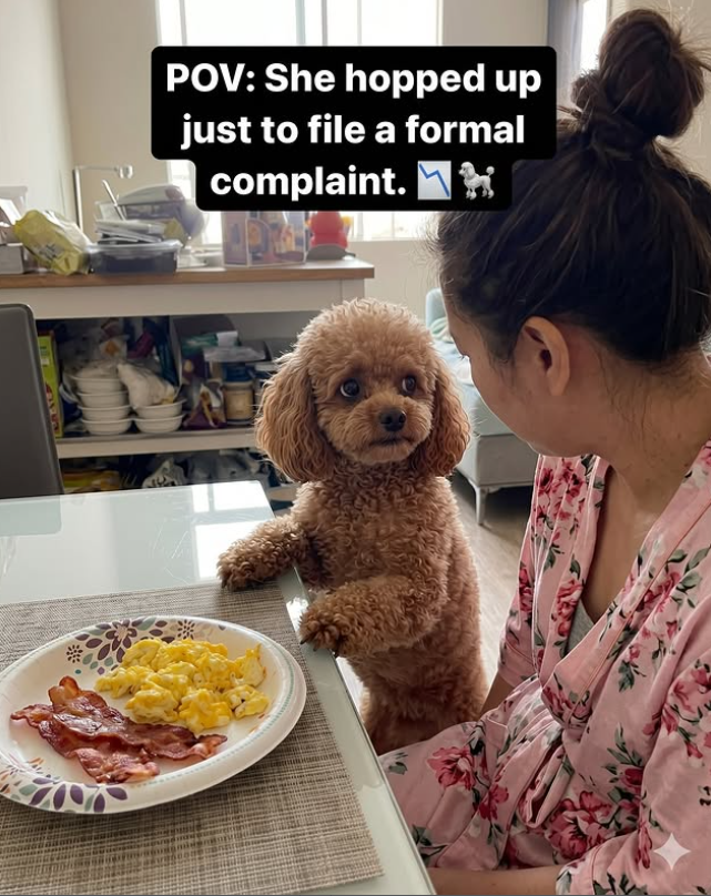 POV: She hopped up just to file a formal complaint.