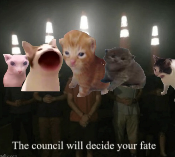 The council will decide your fate mgflip.com