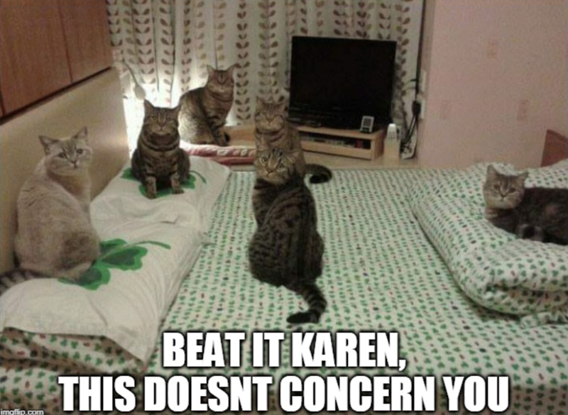 imgflip.com BEAT IT KAREN, THIS DOESNT CONCERN YOU