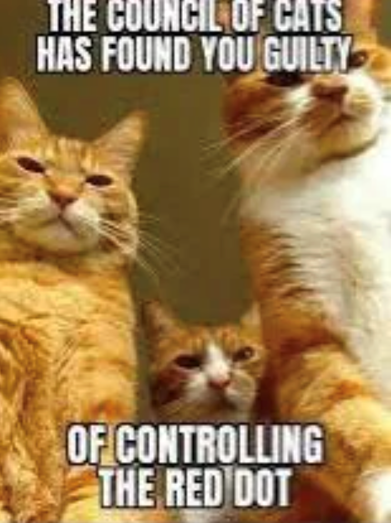 THE COUNCIL OF CATS HAS FOUND YOU GUILTY OF CONTROLLING THE RED DOT