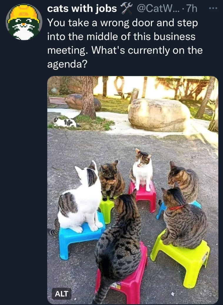 cats with jobs@CatW... .7h You take a wrong door and step into the middle of this business meeting. What's currently on the agenda? ALT