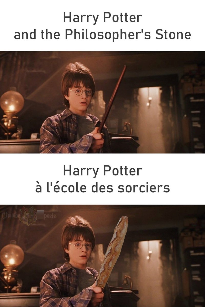 Harry Potter and the Philosopher's Stone Harry Potter à l'école des sorciers Chamber posts