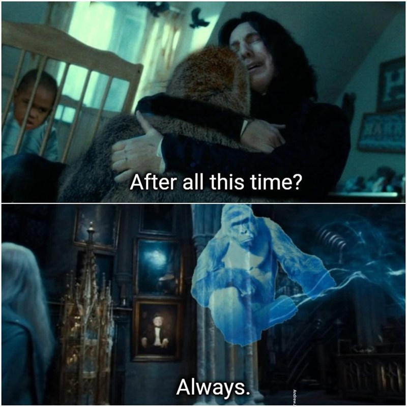 After all this time? MARR Always.