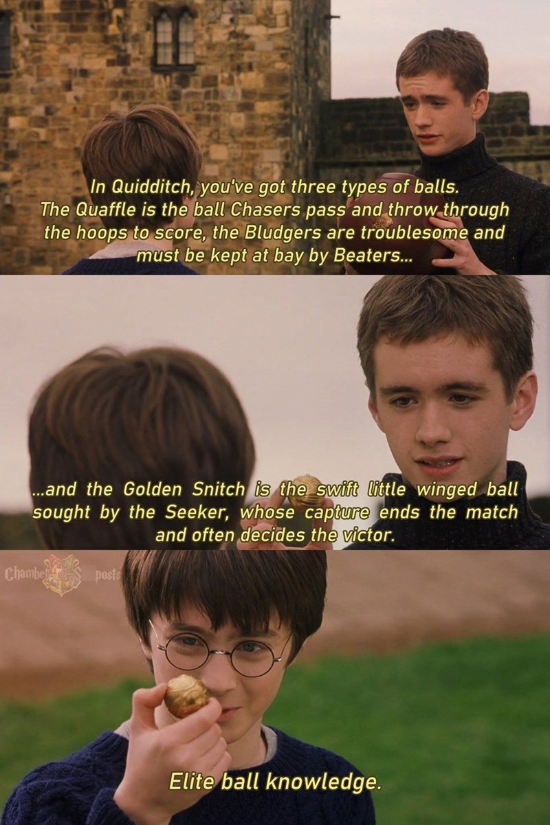 In Quidditch, you've got three types of balls. The Quaffle is the ball Chasers pass and throw through the hoops to score, the Bludgers are troublesome and must be kept at bay by Beaters... ...and the Golden Snitch is the swift little winged ball sought by the Seeker, whose capture ends the match and often decides the victor. Chambe posts Elite ball knowledge.
