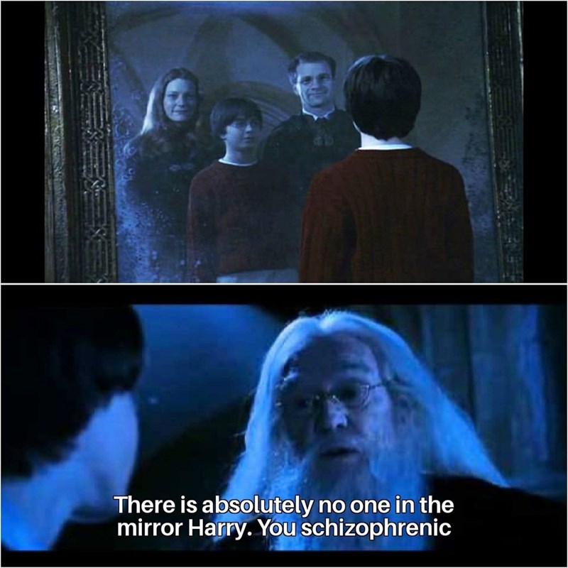 There is absolutely no one in the mirror Harry. You schizophrenic