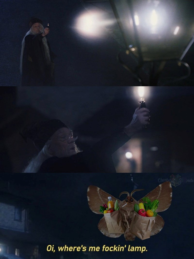 Oi, where's me fockin' lamp. Chamber Posts