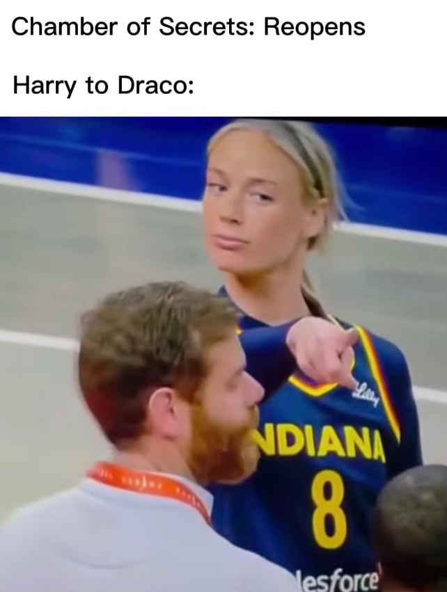 Chamber of Secrets: Reopens Harry to Draco: NDIANA 8 lesforce