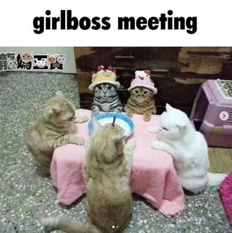 龍煸 girlboss meeting >