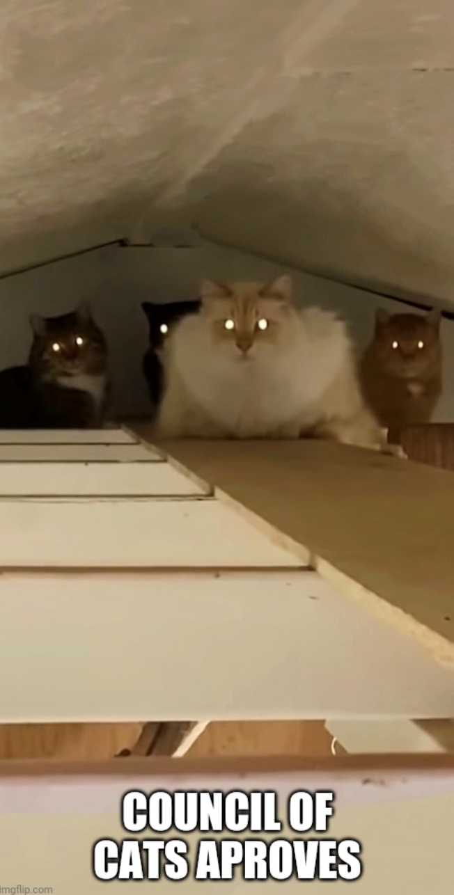 imgflip.com COUNCIL OF CATS APROVES