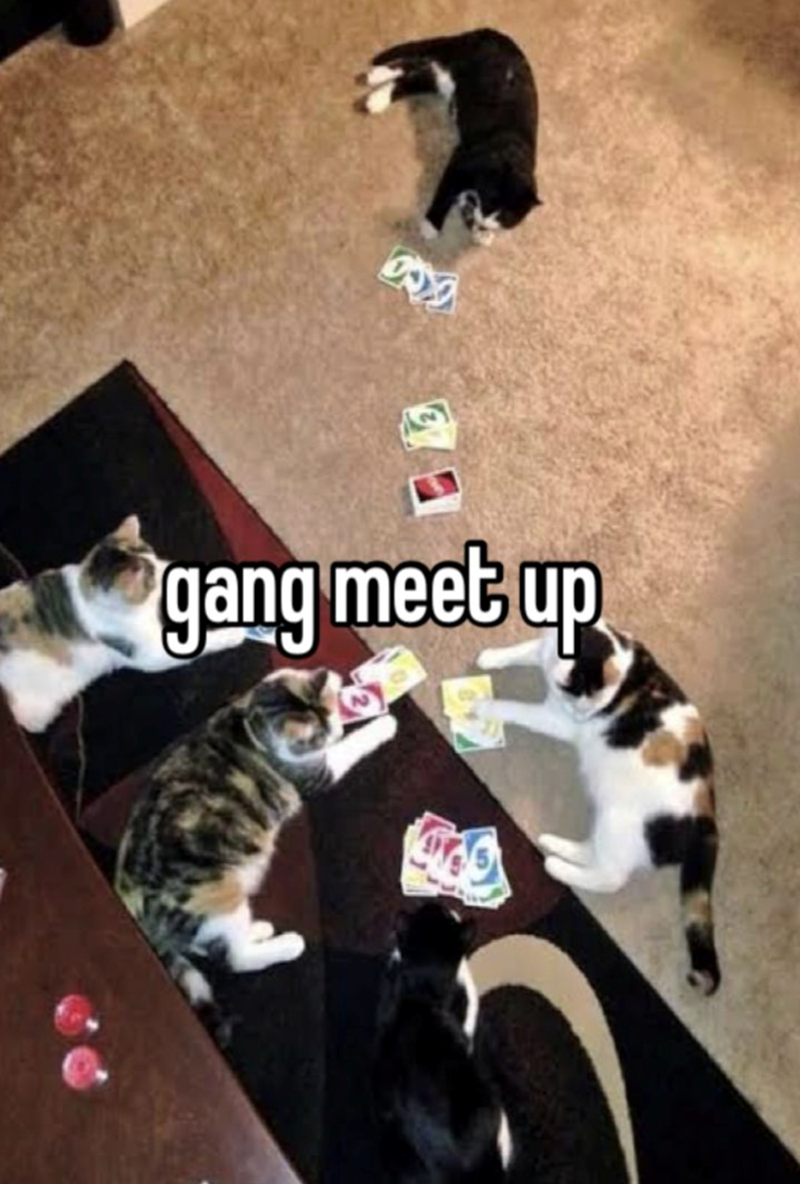 gang meet up