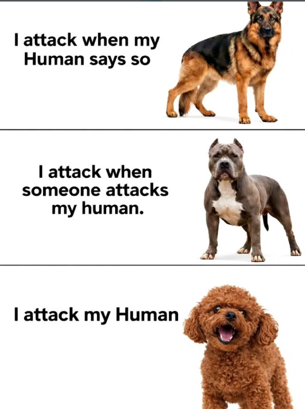 I attack when my Human says so I attack when someone attacks my human. I attack my Human