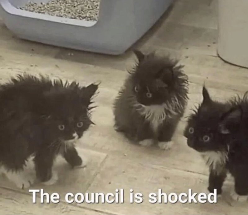 The council is shocked