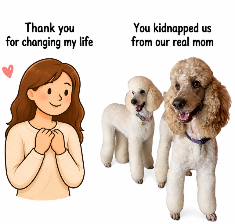 Thank you for changing my life You kidnapped us from our real mom