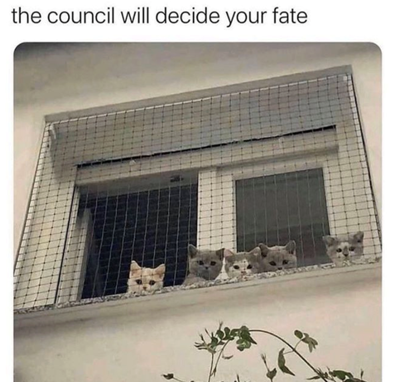 the council will decide your fate