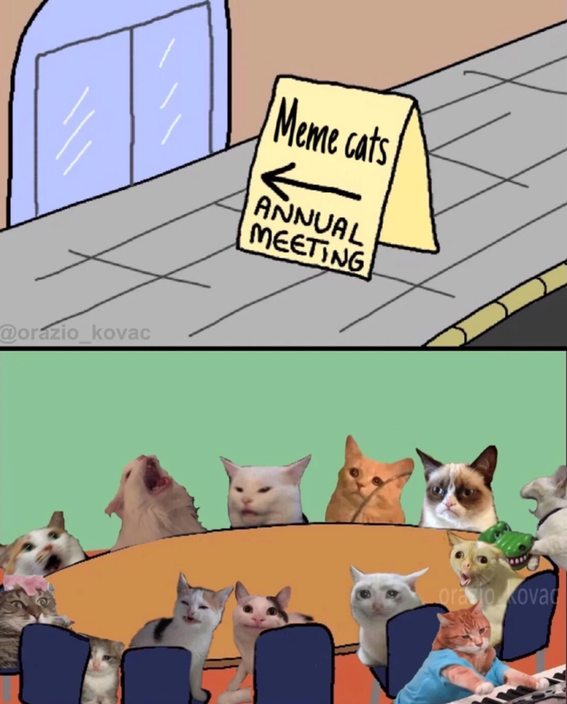 @orazio_kovac Meme cats ANNUAL MEETING oracio ovac