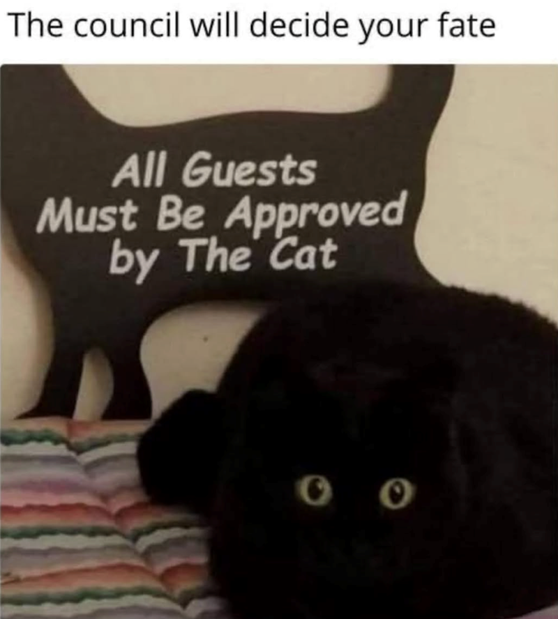 The council will decide your fate All Guests Must Be Approved by The Cat