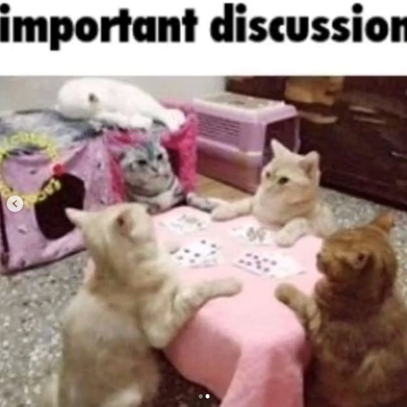 < important discussion 5 W