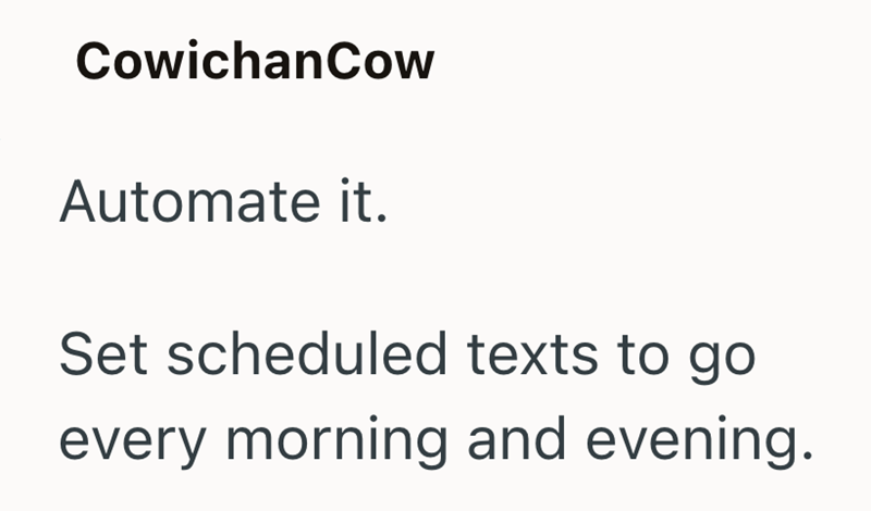 CowichanCow Automate it. Set scheduled texts to go every morning and evening.