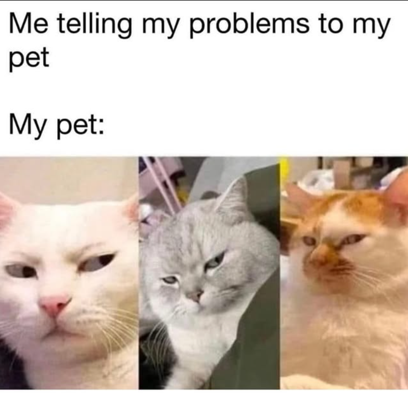 Me telling my problems to my pet My pet: