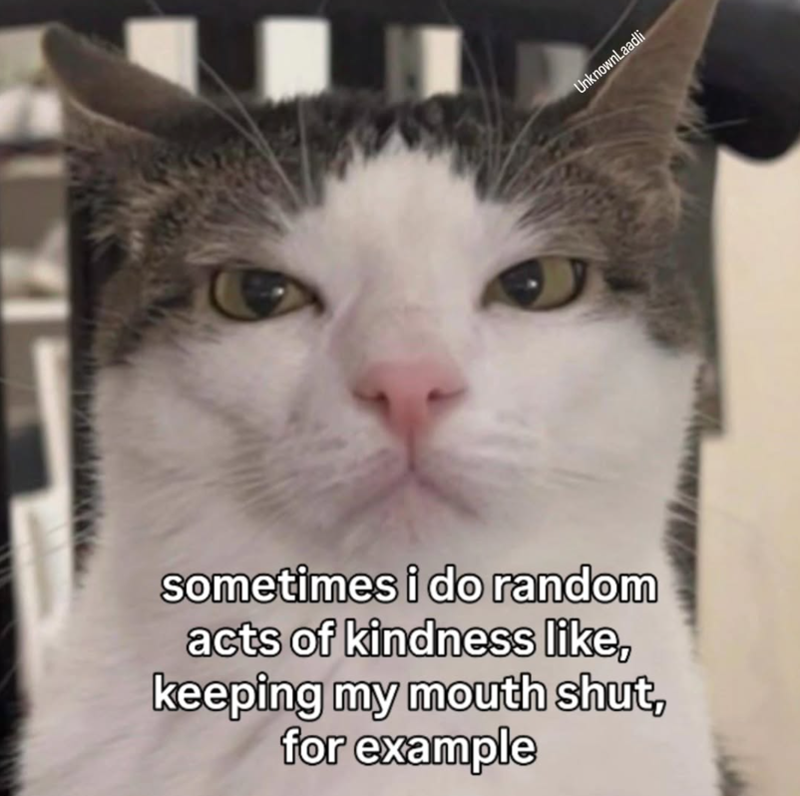 sometimes i do random acts of kindness like, keeping my mouth shut, for example UnknownLaadli