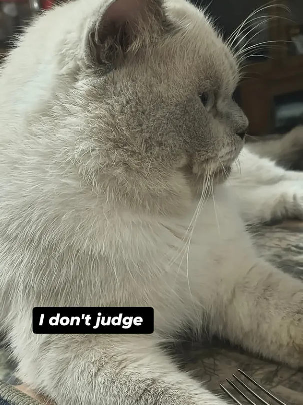 I don't judge