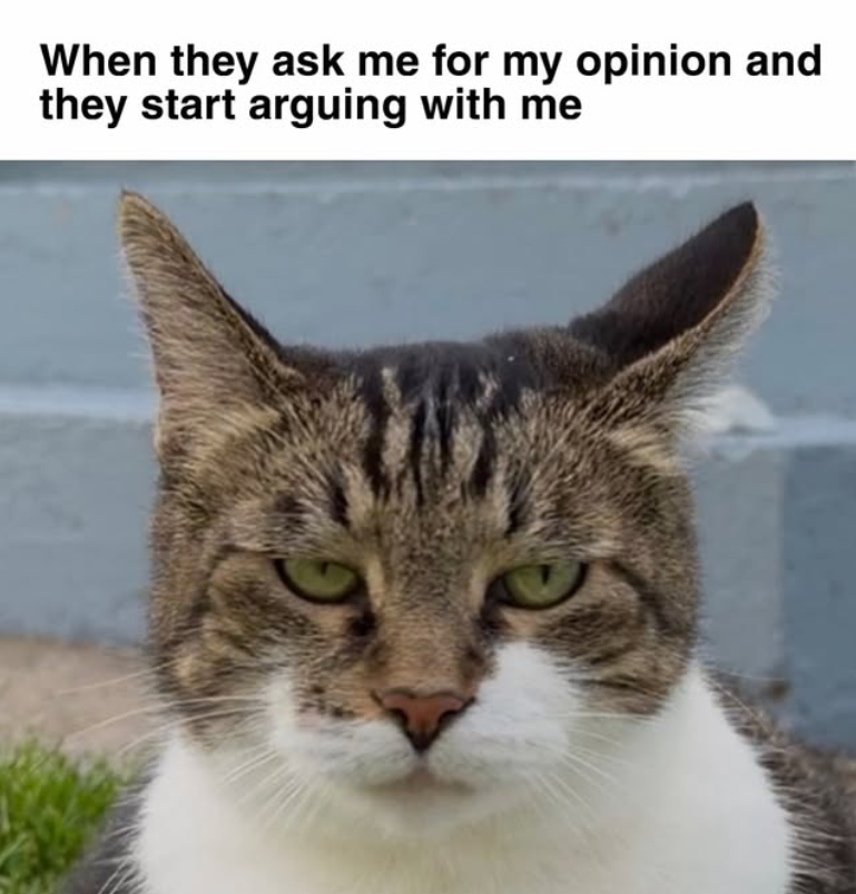 When they ask me for my opinion and they start arguing with me