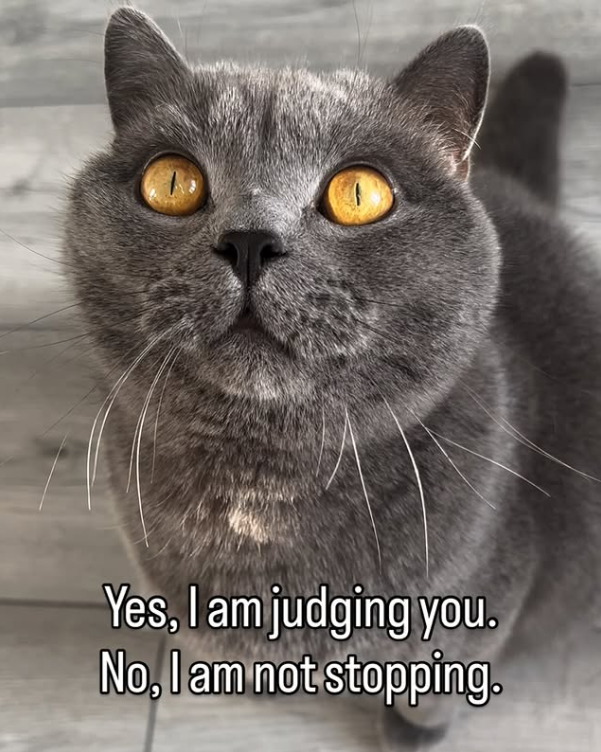 Yes, I am judging you. No, I am not stopping.