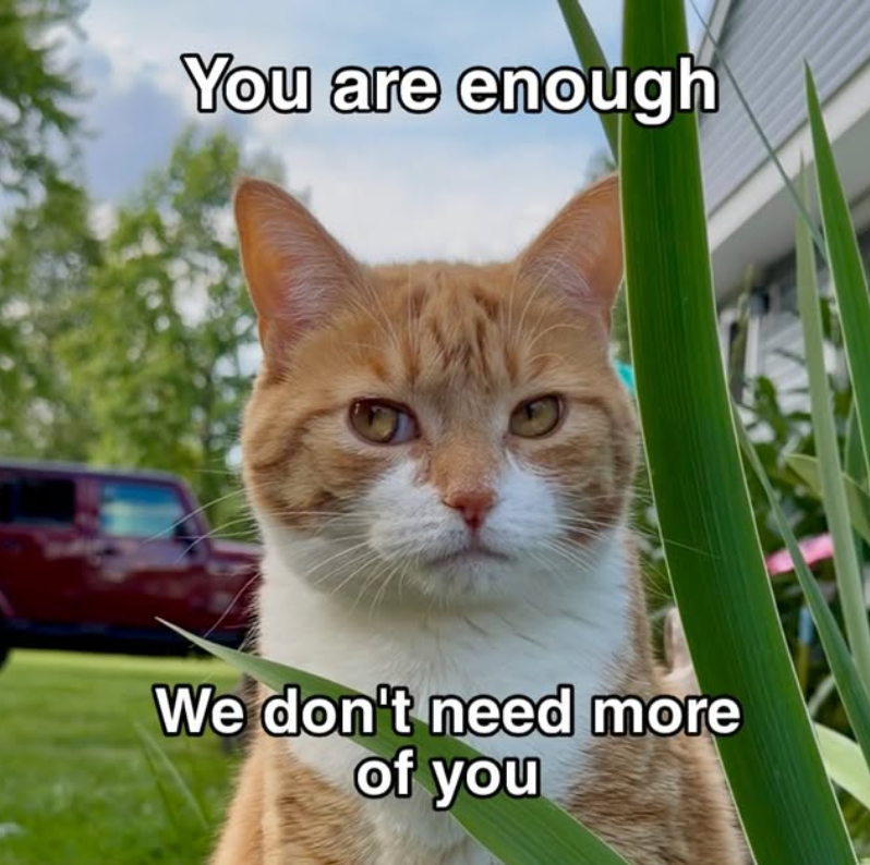 You are enough We don't need more of you