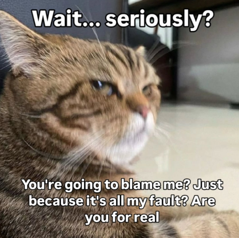 Wait... seriously? You're going to blame me? Just because it's all my fault? Are you for real
