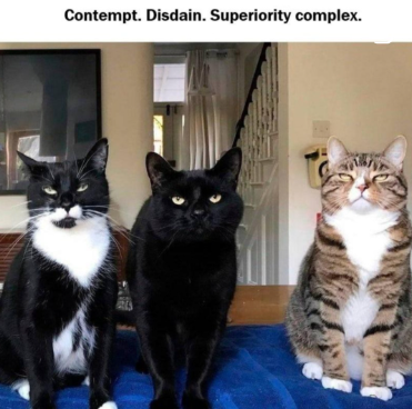 Contempt. Disdain. Superiority complex.