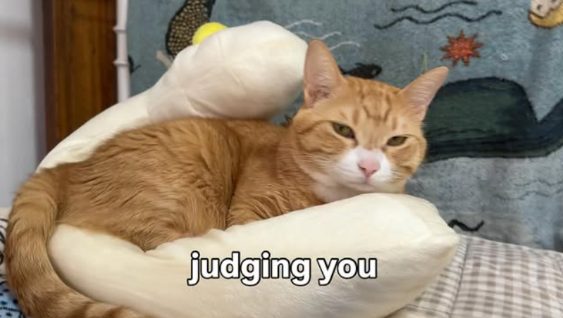 judging you