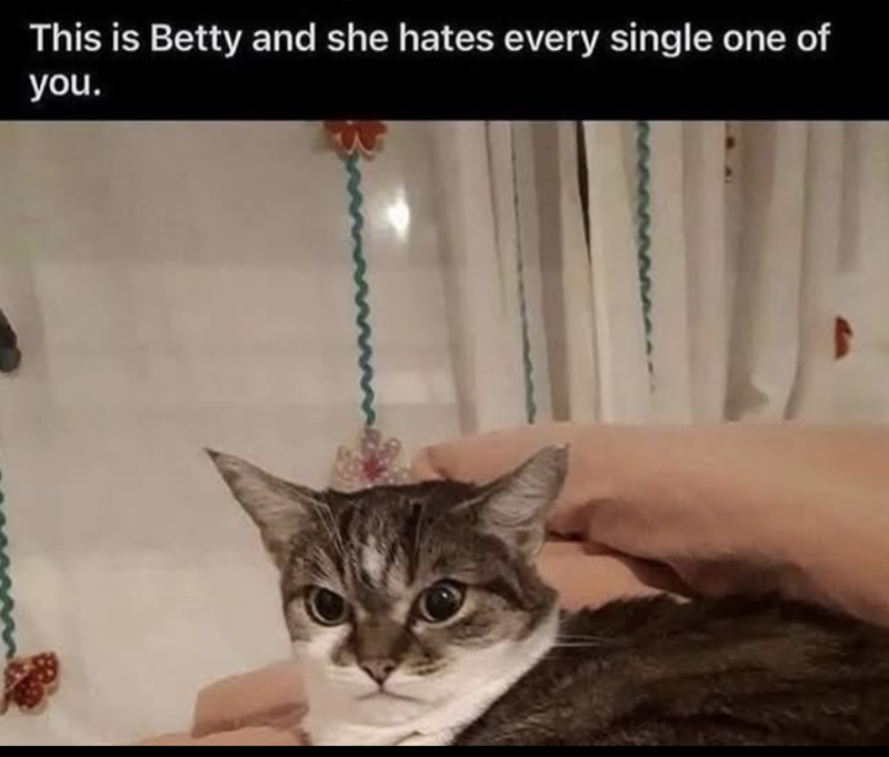 This is Betty and she hates every single one of you.
