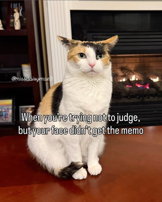 @missdaisymae3 When you're trying not to judge, but your face didn't get the memo