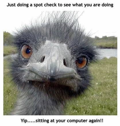 Just doing a spot check to see what you are doing Yip.....sitting at your computer again!!