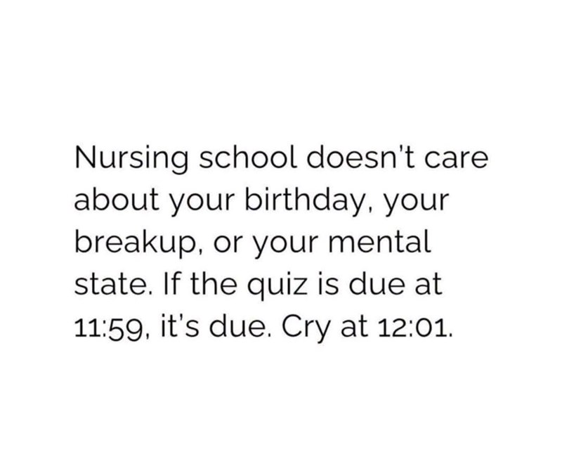 Nursing school doesn't care about your birthday, your breakup, or your mental state. If the quiz is due at 11:59, it's due. Cry at 12:01.