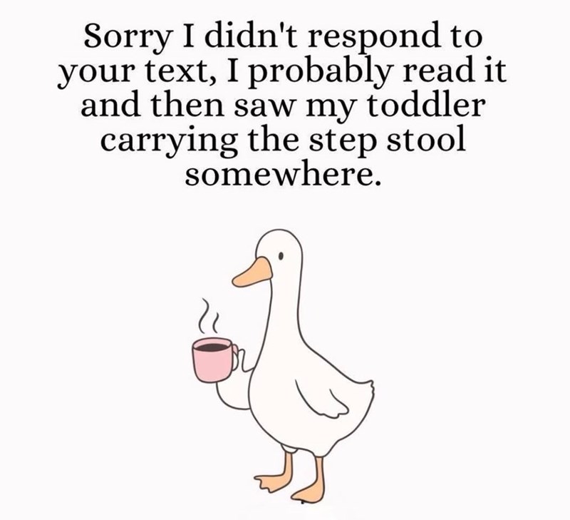 Sorry I didn't respond to your text, I probably read it and then saw my toddler carrying the step stool somewhere.