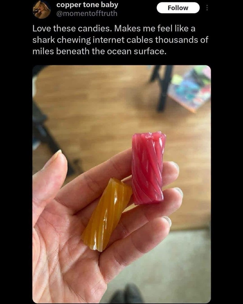 copper tone baby @momentofftruth Follow Love these candies. Makes me feel like a shark chewing internet cables thousands of miles beneath the ocean surface.