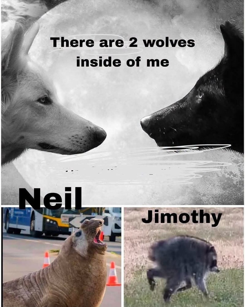 There are 2 wolves inside of me Neil Jimothy